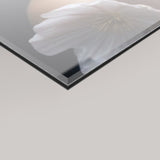 A close-up of a glossy framed acrylic glass 4mm panel showing a soft-focus pink flower, with a dark edge visible against a light grey background.
