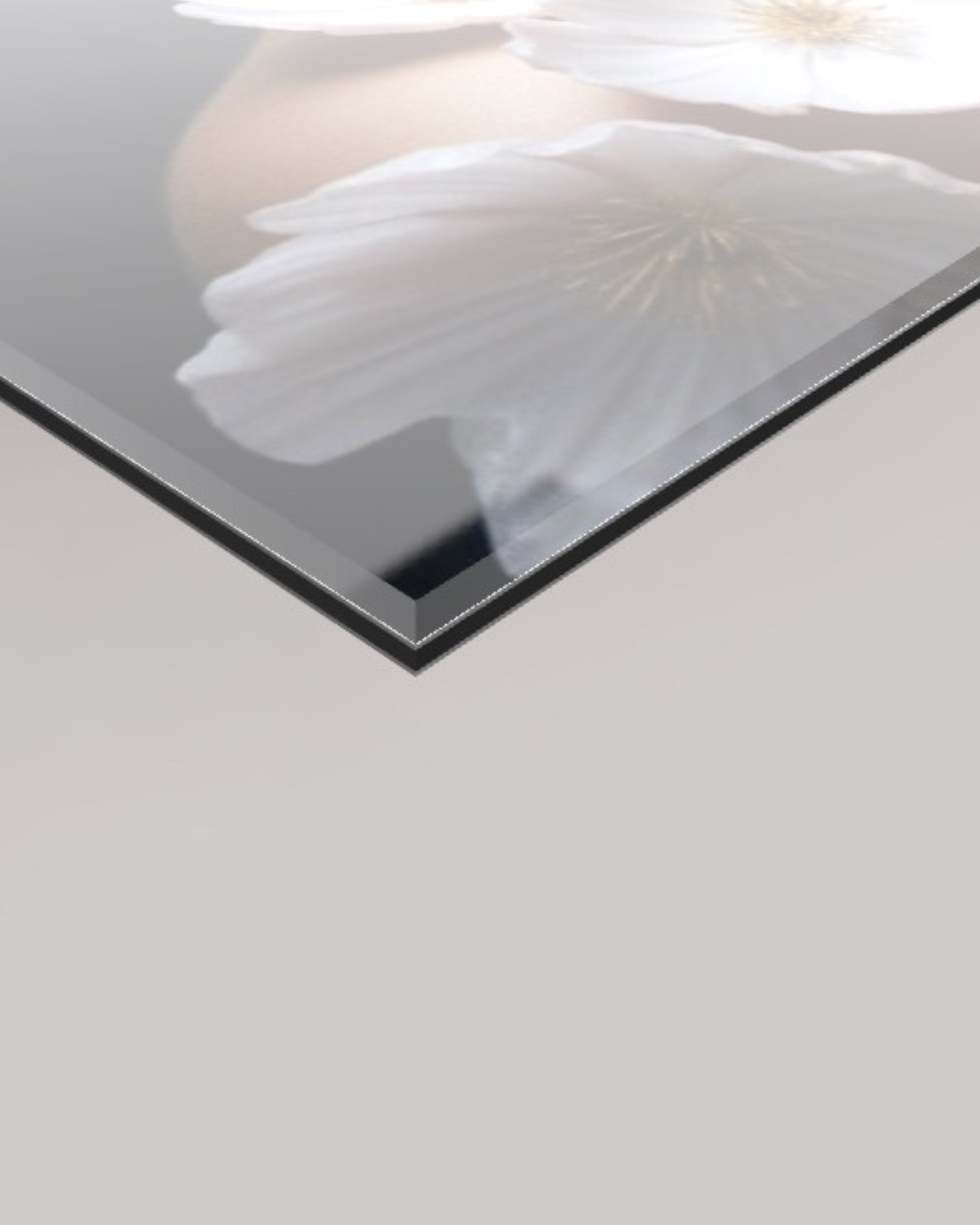 A close-up of a glossy acrylic 4m glass panel showing a soft-focus floral print in pale pink, with a dark edge visible against a light grey background.