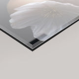 A close-up of a glossy framed or glass-like panel showing a soft pink floral reflection, set against a light grey background.