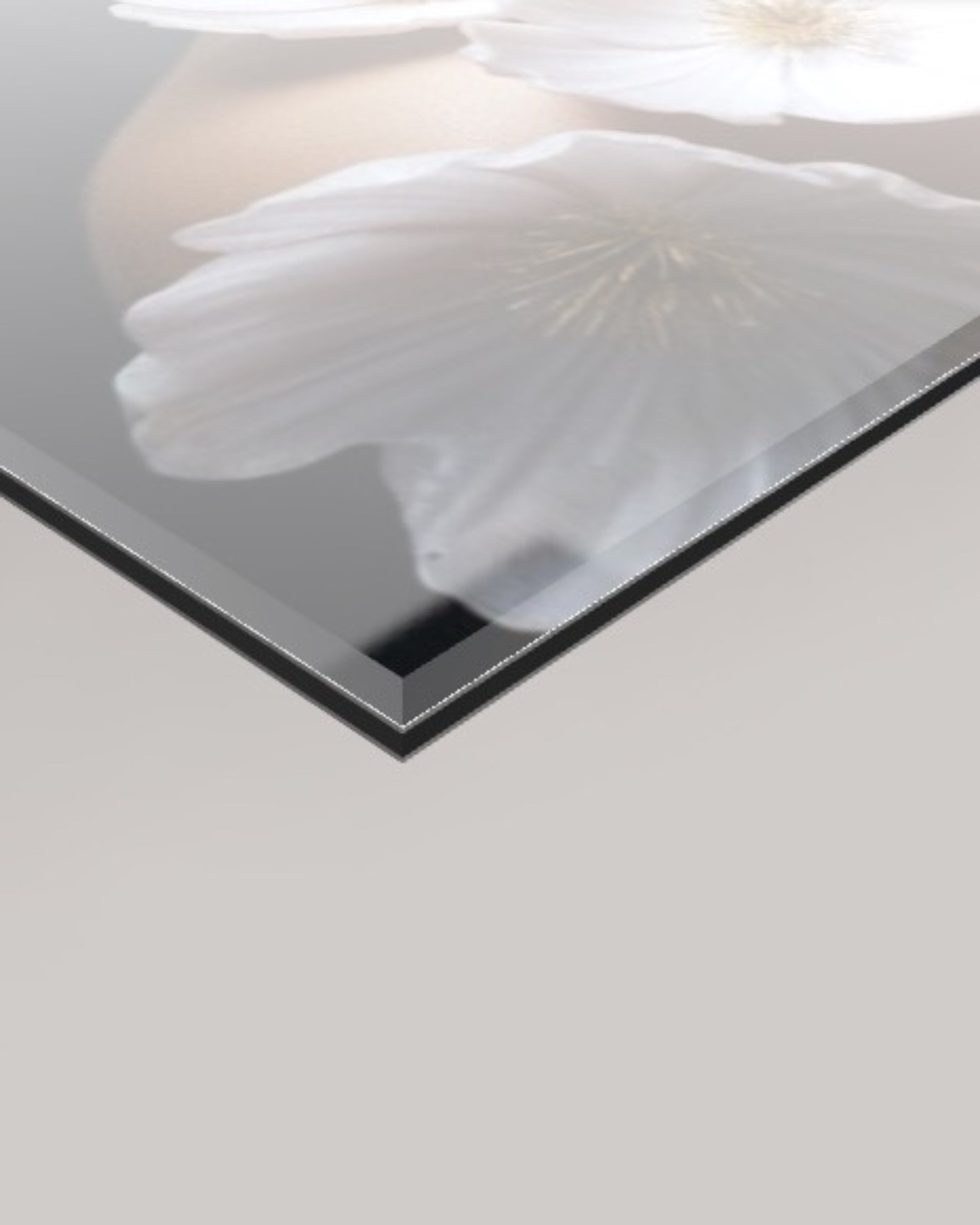 A close-up of a glossy framed or glass-like panel showing a soft pink floral reflection, set against a light grey background.
