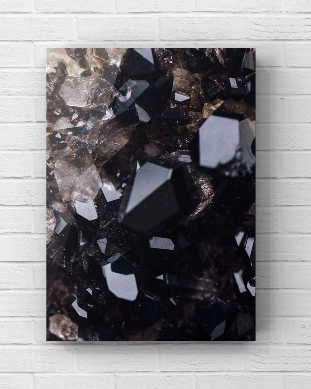 MizDragonfly Decor Black Quartz Artwork Canvas Collection Lifestyle