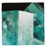 MizDragonfly Silk Scarf Square Green Chrysolite Crystal
