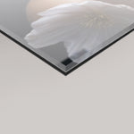A close-up of a glossy rectangular 4mm acrylic glass frame panel showing a soft reflection of pink flowers, set against a light grey background.